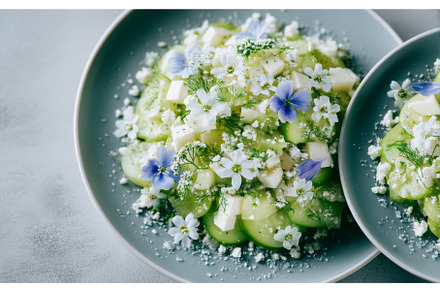 This top view image embodies the, a Food & Drink Photo by ZinetroN