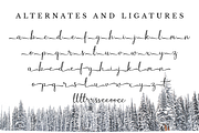 Winterbean - Modern Calligraphy Font, a Script Font by Sibelumpagi Studio (Thumbnail 12 of 12)