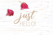 Candy Garden Font Duo + EXTRAS, a Script Font by Isabelle Salem (Thumbnail 5 of 7)