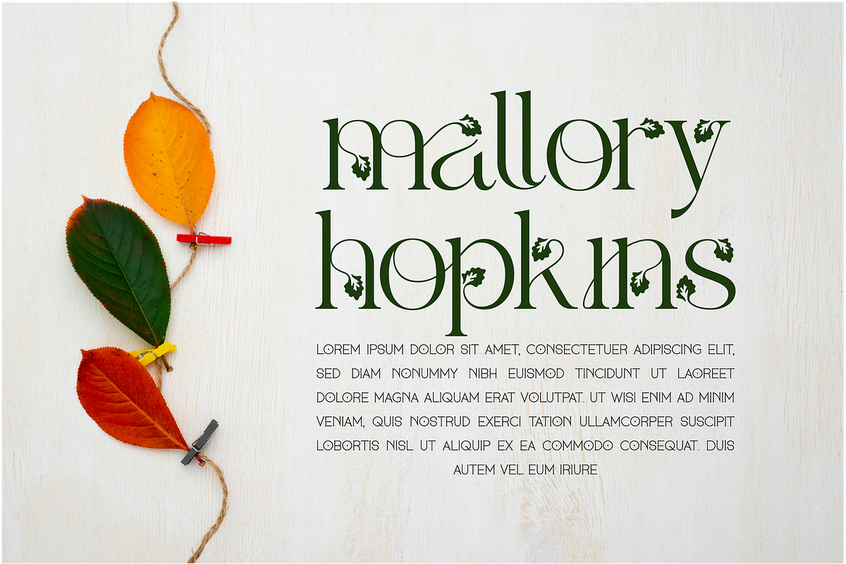 Alketa Nature Font, a Serif Font by 177Studio (Photo 2 of 8)