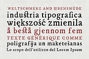 Esther Handmade, a Serif Font by Hederae Type Foundry (Thumbnail 4 of 6)