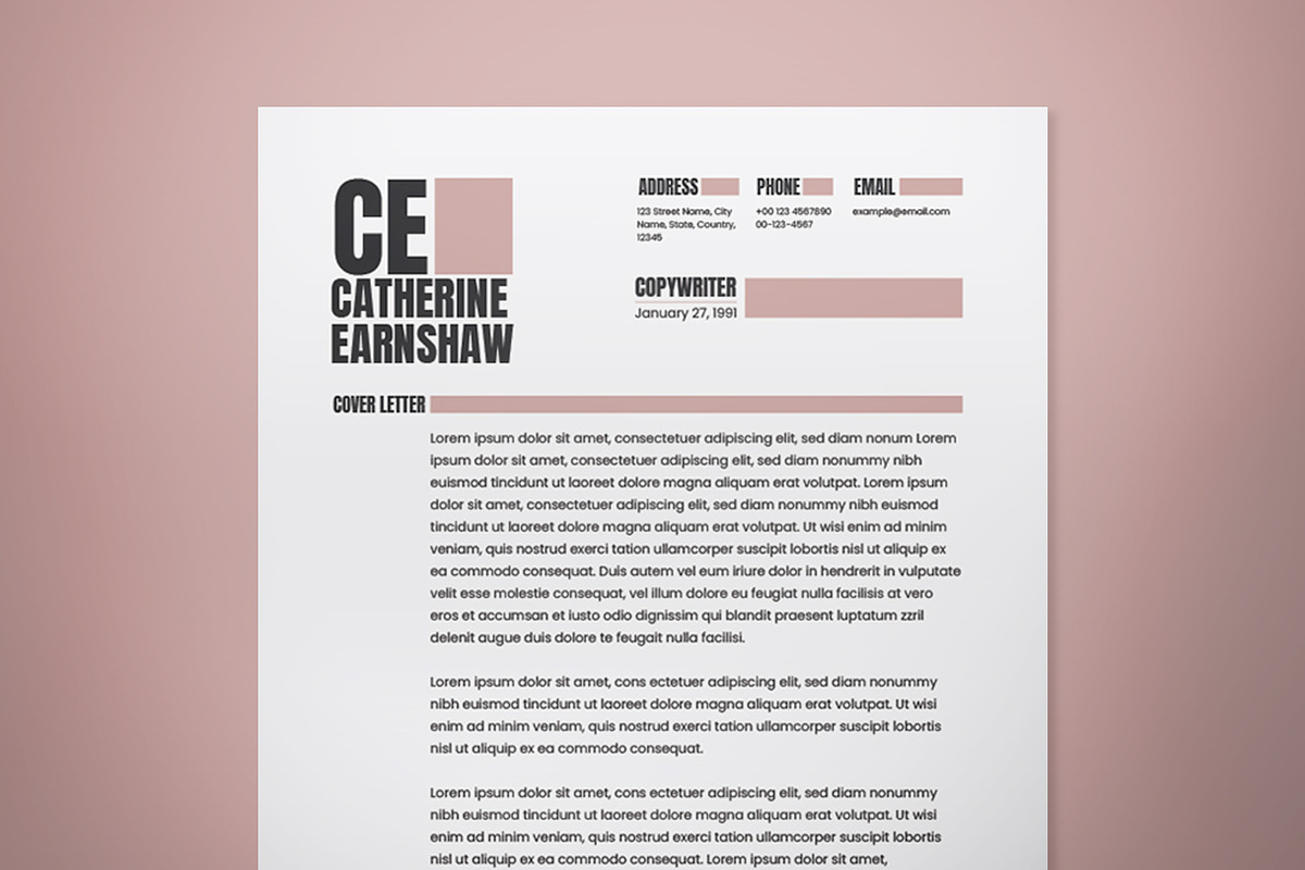 Brown Professional Modern Resume, a Resume Template by The Good Store (Photo 3 of 3)