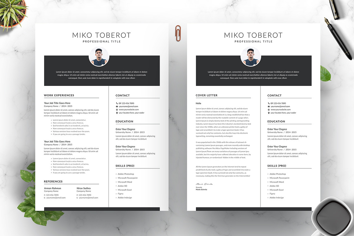 Clean Resume CV