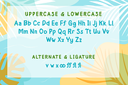 Tenky | Summer San Serif Display, a Sans Serif Font by twinstd (Thumbnail 8 of 10)