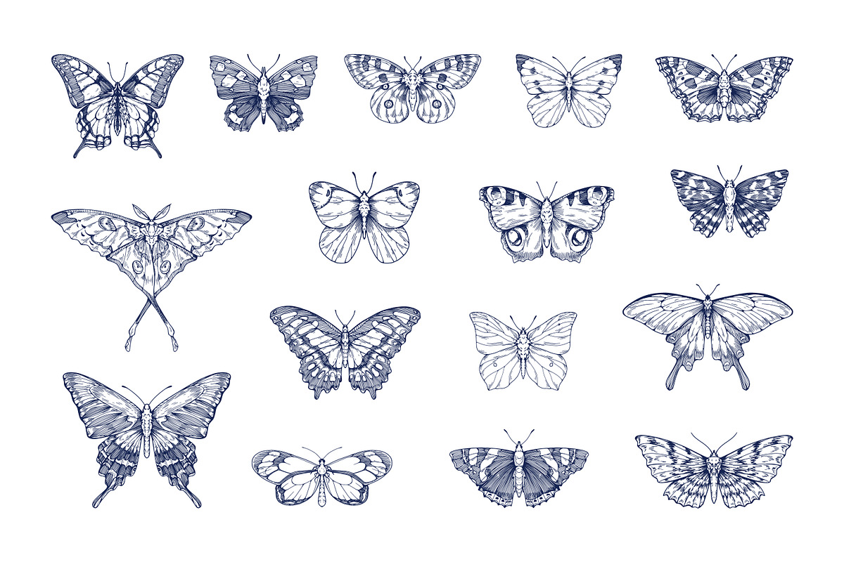 Vintage hand-drawn butterflies set, an Animal Illustration by Good Studio (Photo 3 of 7)
