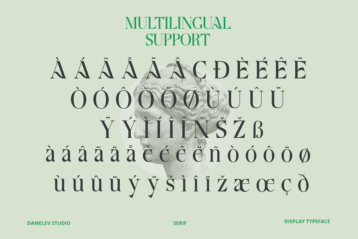 Aquifer, a Serif Font by Damelev (Photo 15 of 15)