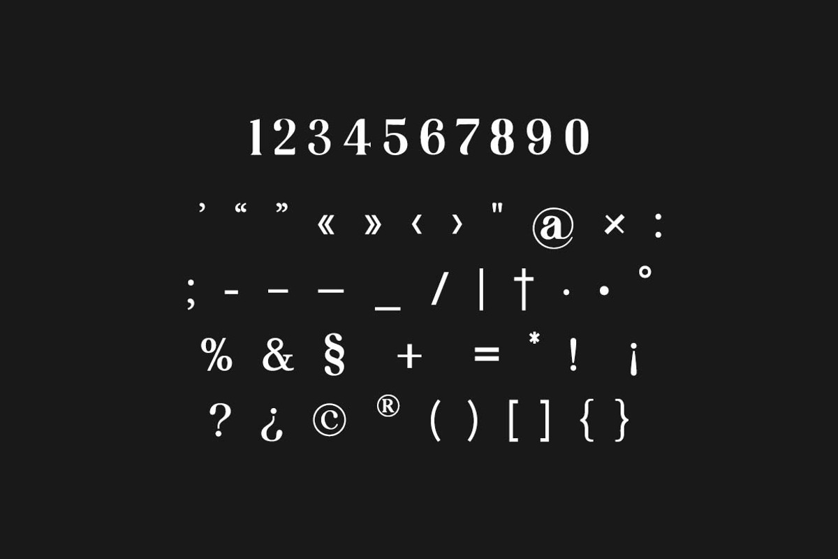 Retrodict Modern Serif Retro Font, a Serif Font by UICreative (Photo 6 of 13)