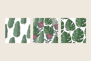 Tropical Leaf Prints