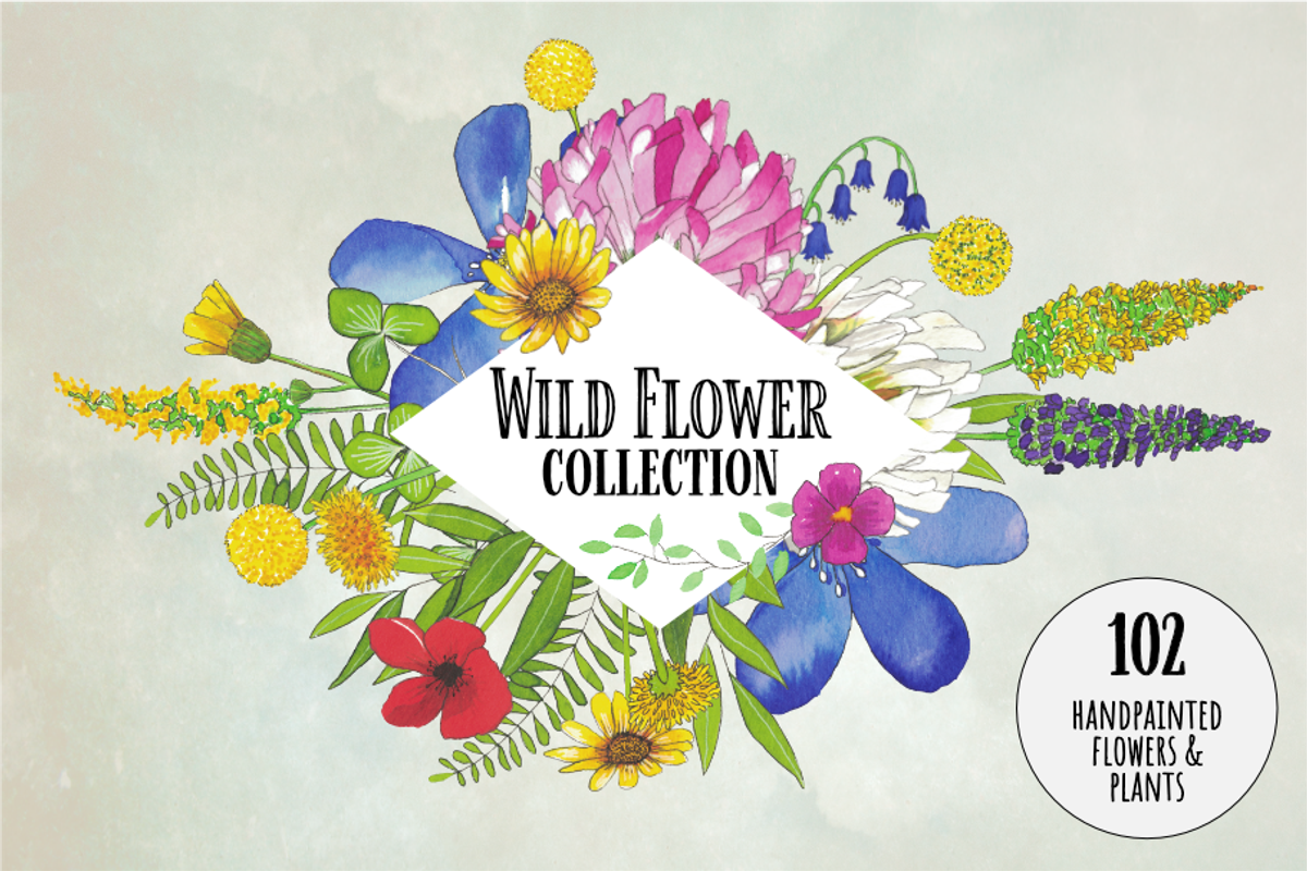 Watercolor Wildflower Collection, an Illustration by Littlefield Design (Photo 1 of 9)