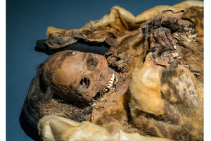 Qilakitsoq Mummies found frozen with, an Architecture Photo by Backyard Stock