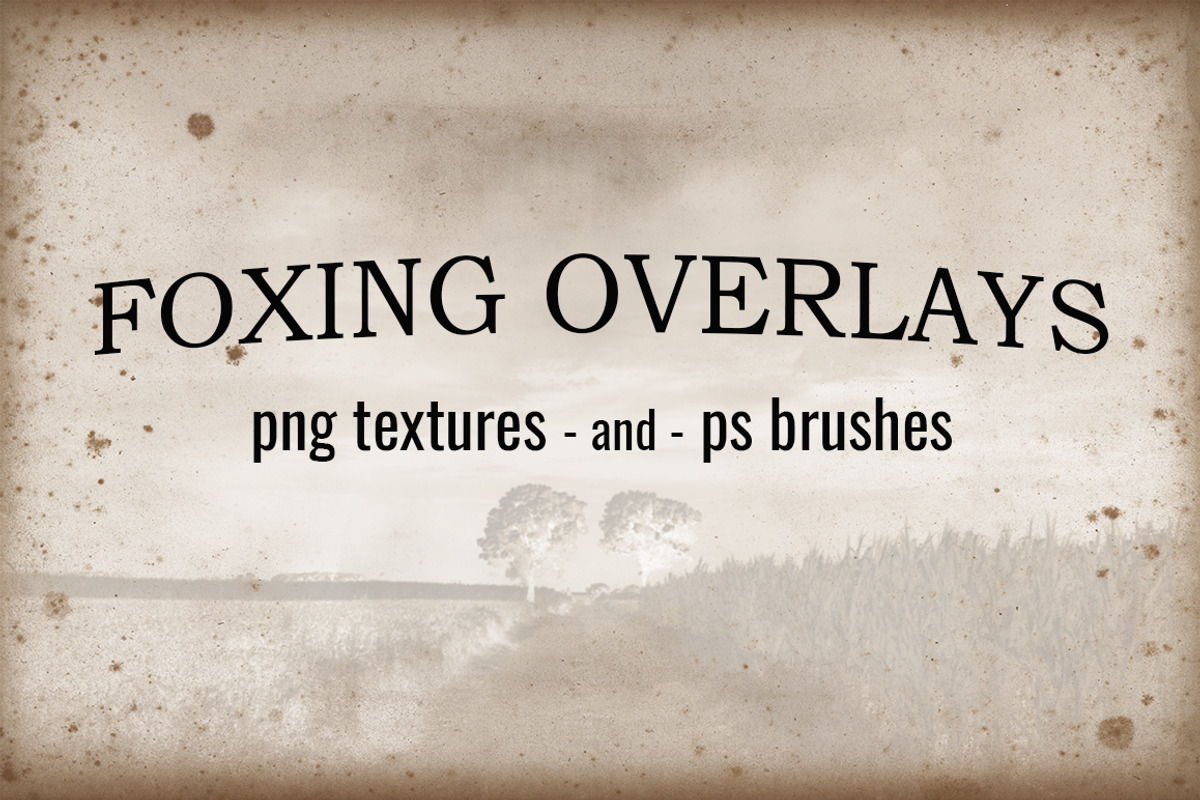 Foxing Textures and Brushes, a Texture Graphic by Blue Line Design (Photo 1 of 15)
