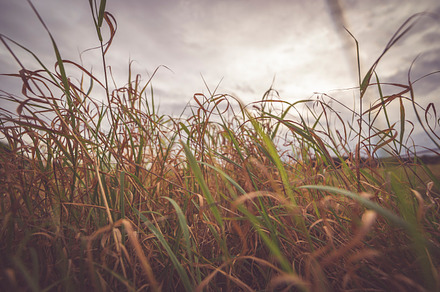 French Hillside With Hay Bales preview 6