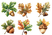 Watercolor Acorns & Oak Leaves, an Illustration by Designworld (Thumbnail 3 of 5)