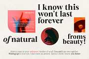Figo Shiftz, a Serif Font by Propertype (Thumbnail 11 of 13)