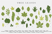 Leafy, a Decorative Illustration by olga.korneeva (Thumbnail 5 of 16)