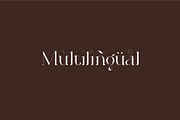 Roilra - Serif Ligature Font, a Serif Font by suhadidesign (Thumbnail 12 of 13)