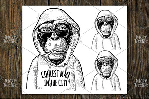 Monkey Hipster In Hoodie