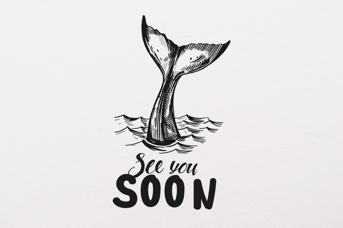 Lost at sea. Illustrations set, an Animal Illustration by Aksol (Photo 6 of 6)