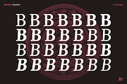 Bandito - Rounded Variable Serif, a Serif Font by Unio Designs (Thumbnail 4 of 15)