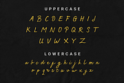 Sympathic, a Script Font by Letterature Std. (Thumbnail 3 of 10)