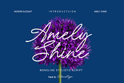 Amely Shine - Beautiful Script Font, a Font by Salamahtype (Thumbnail 1 of 8)