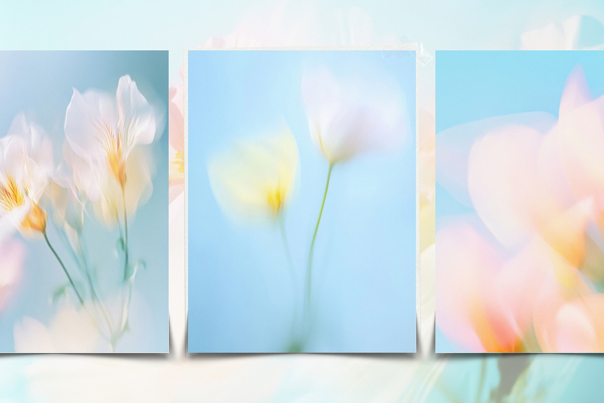 30 Soft Blurred Florals Backgrounds, a Background Graphic by lerinartstudio (Photo 8 of 13)