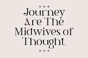 Alestyn - Aesthetic Modern Serif, a Serif Font by Pandeka Studio (Thumbnail 3 of 12)