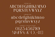 SALLINE — Modern Serif Typeface, a Serif Font by Alfinart (Thumbnail 6 of 7)