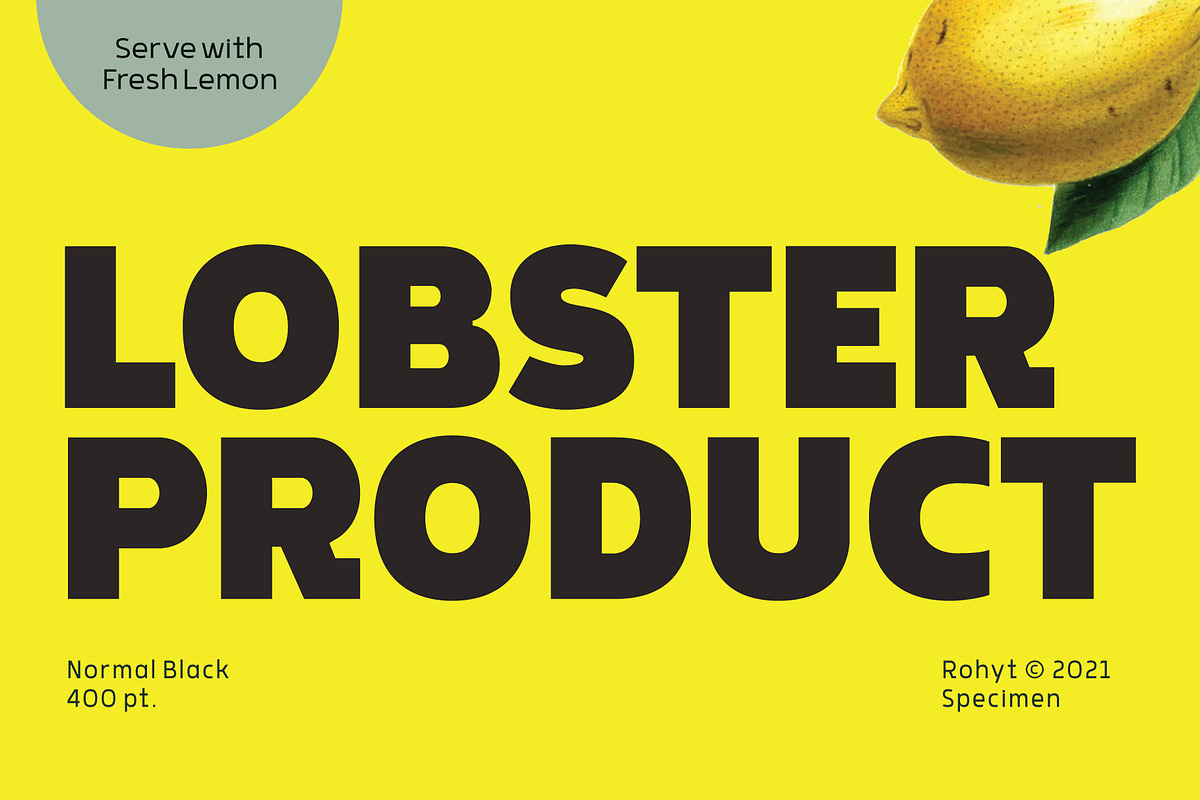 Rohyt Geometric, a Sans Serif Font by Typesketchbook Foundry (Photo 3 of 5)