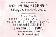 Blushing | Script Font, a Handwritten Font by Scratchones (Thumbnail 7 of 8)