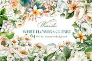 White flower. Watercolor clipart col, a Decorative Illustration by ElenazlataArt (Thumbnail 1 of 9)
