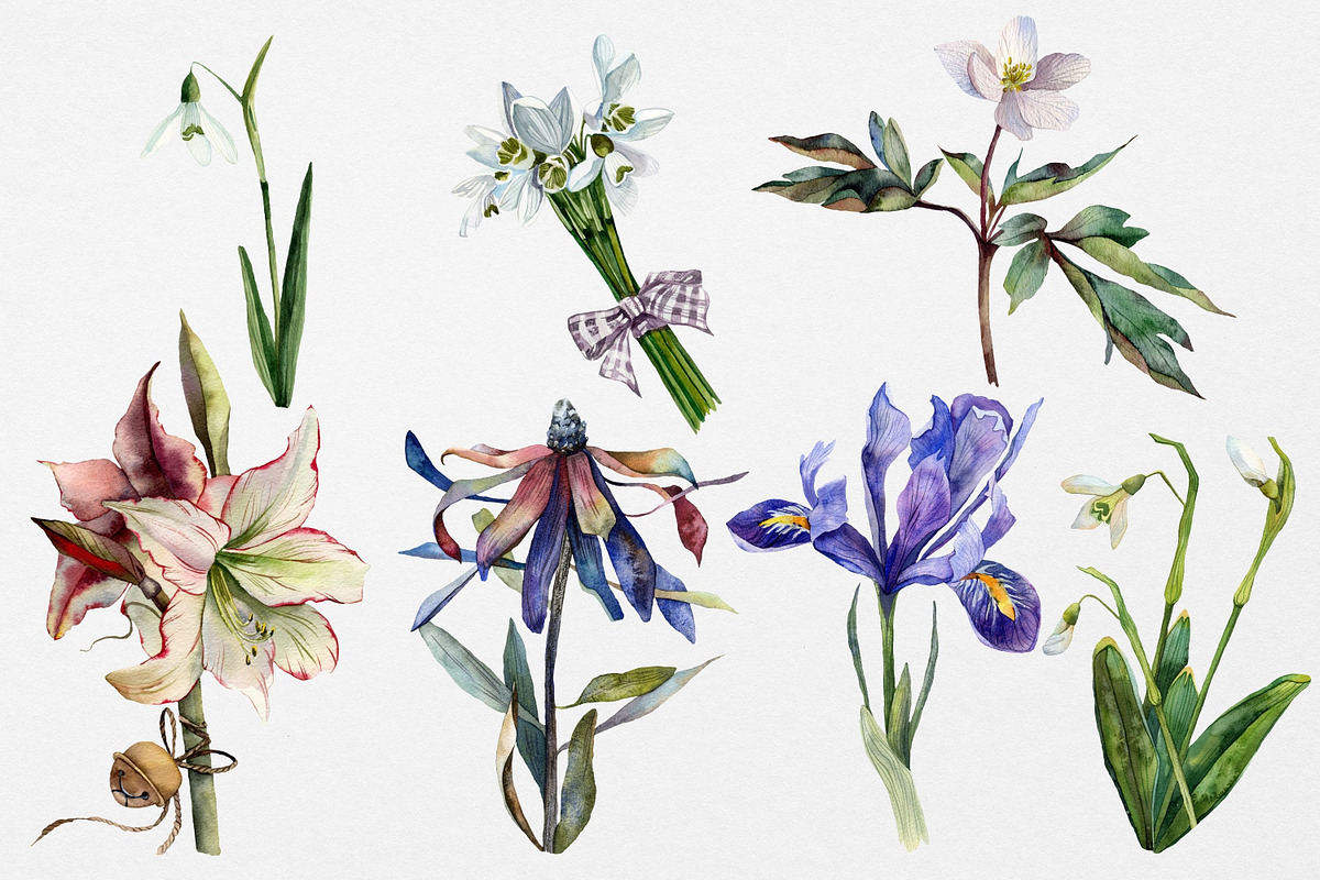 Spring wildflowers watercolor, a Decorative Illustration by Artcard Watercolor (Photo 8 of 12)
