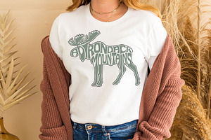 Adirondack Mountains in a moose
