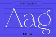 Elanor - Retro Font Classy Elegant, a Serif Font by Dirtyline Studio (Thumbnail 12 of 17)