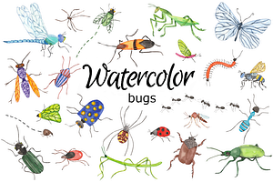 Summer bugs watercolor clip art