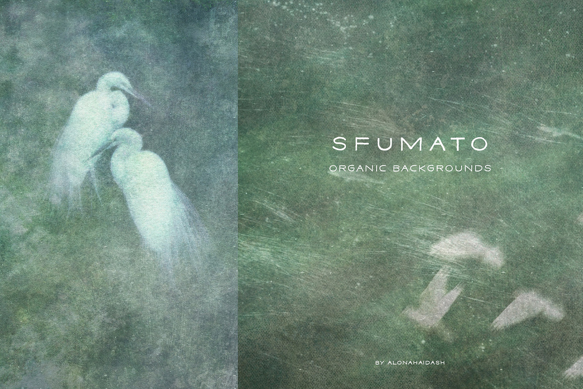 Sfumato Organic Textured Backgrounds, a Background Graphic by alonahaidash (Photo 1 of 15)
