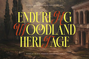 Natives Honor Elegant Hybrid Serif, a Serif Font by timelesstype.co (Thumbnail 9 of 20)