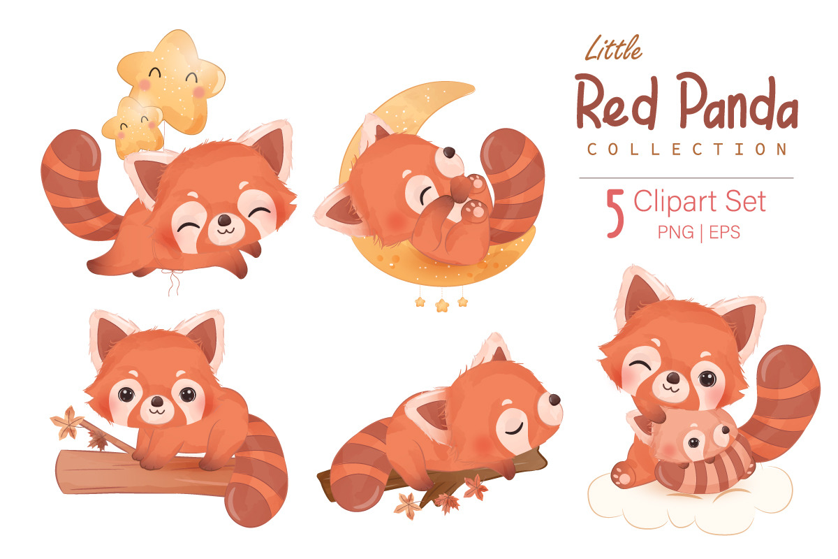 Cute Little Red Panda Clipart Set