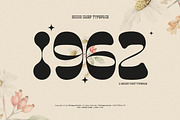 Moon Chief | Groovy Display, a Serif Font by Pentagonistudio (Thumbnail 2 of 11)
