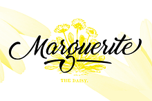 Marguerite - SUMMER SALE - 70% OFF!