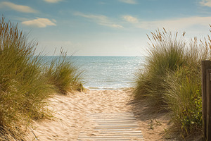 Wooden boardwalk leading through marram grass dunes to a sunny s, a Photo by Studio ANNA
