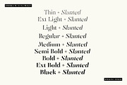 Mulich Serif Display | 18 Fonts, a Serif Font by Skinny Type (Thumbnail 4 of 15)