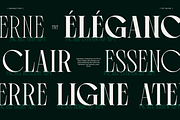 TRT Pachel Luxury Editorial Serif, a Serif Font by truetype (Thumbnail 6 of 15)