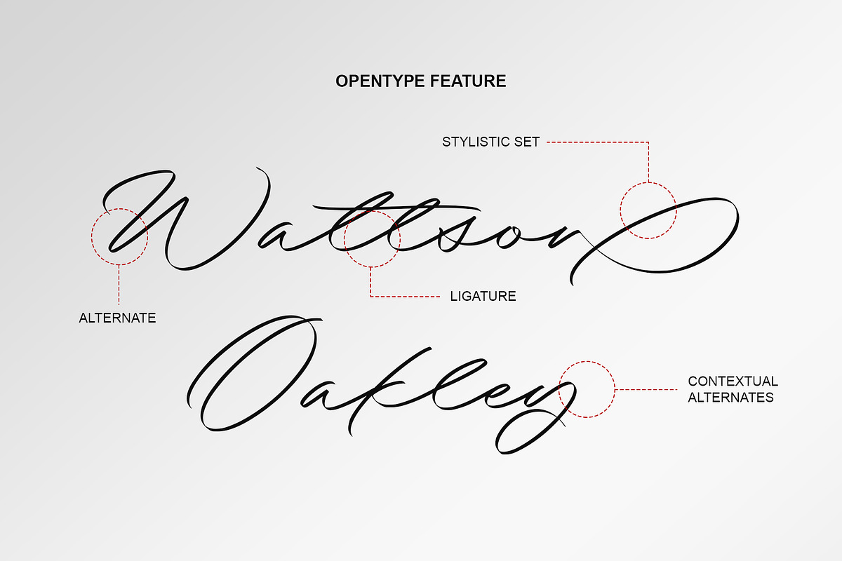 Brigend | Stylish Signature, a Script Font by Lemonthe (Photo 4 of 10)