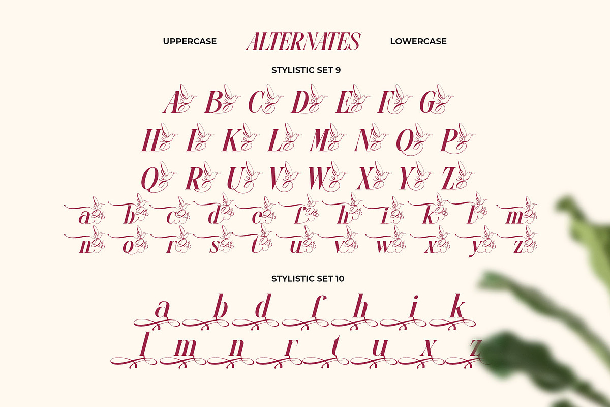 Glow More Typeface, a Serif Font by alit design (Photo 8 of 17)