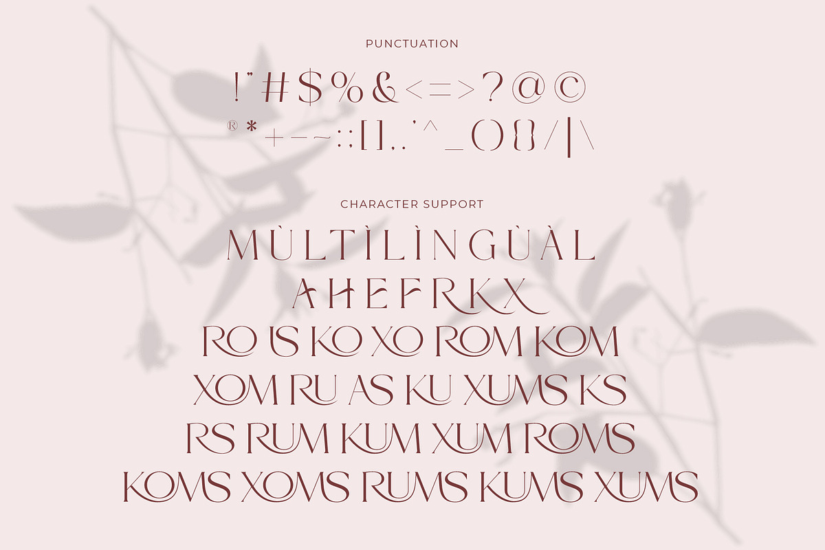 Bromise - Luxury Serif Typeface, a Serif Font by Muflieart (Photo 10 of 10)