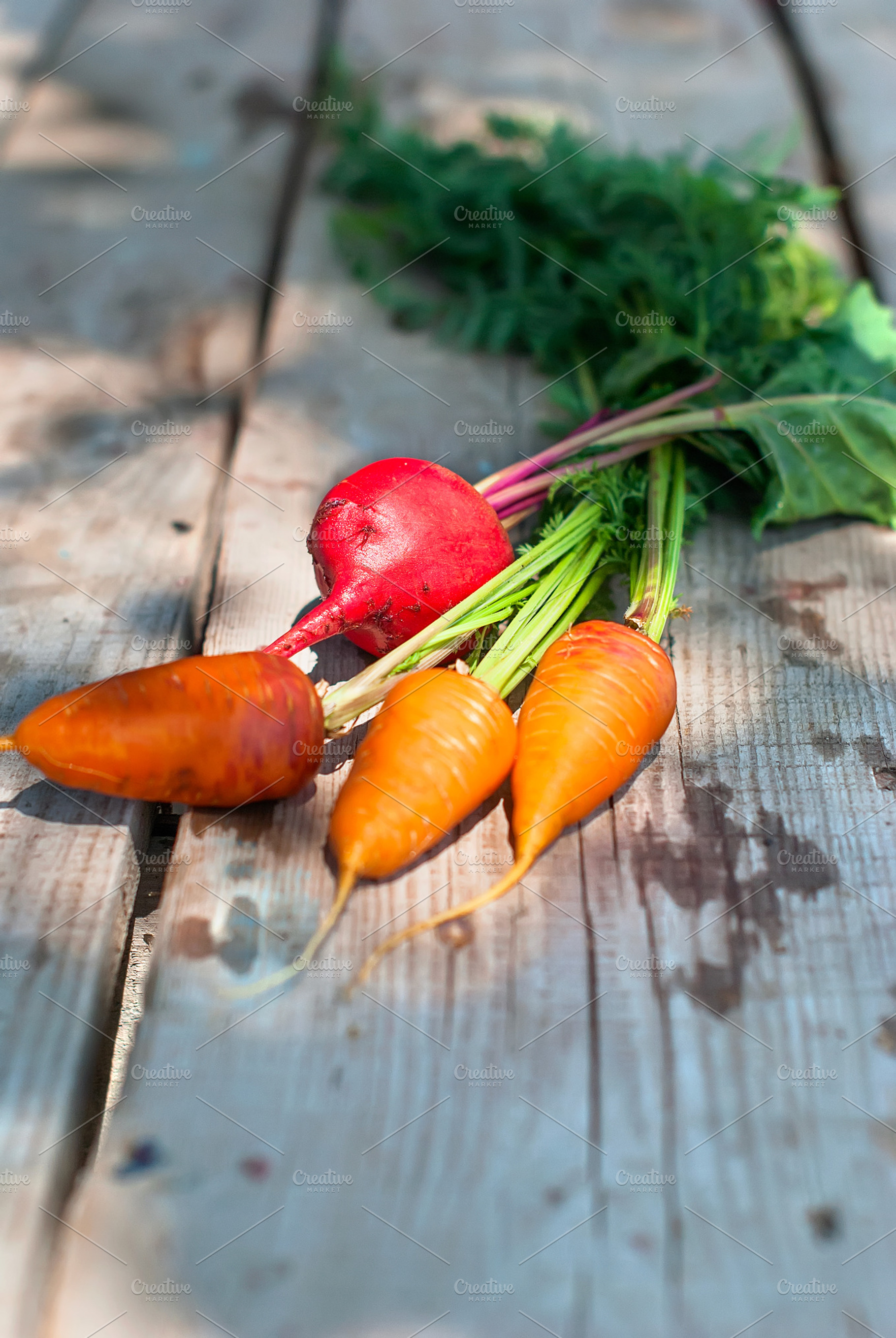 Carrot and beets on wooden table featuring table, young, and garden, a Food & Drink Photo by vimart