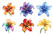 Lily Doodles Colorful PNG, an Illustration by SinaCreation (Thumbnail 2 of 5)