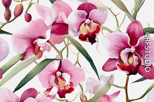 Exotic Orchids Seamless Bundle 1