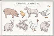 Farm Animals Set, an Object Graphic by Siosay (Thumbnail 8 of 12)